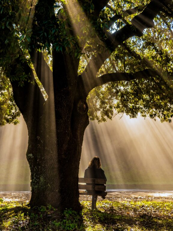 Verlies en rouwverwerking